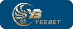  VNPay